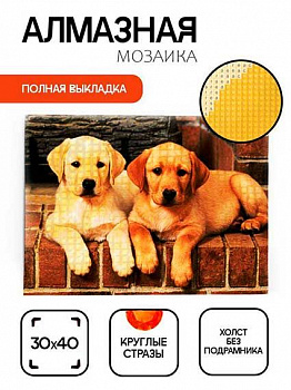 da8dc2f0-5a6e-11f1-85d6-6805cac12231